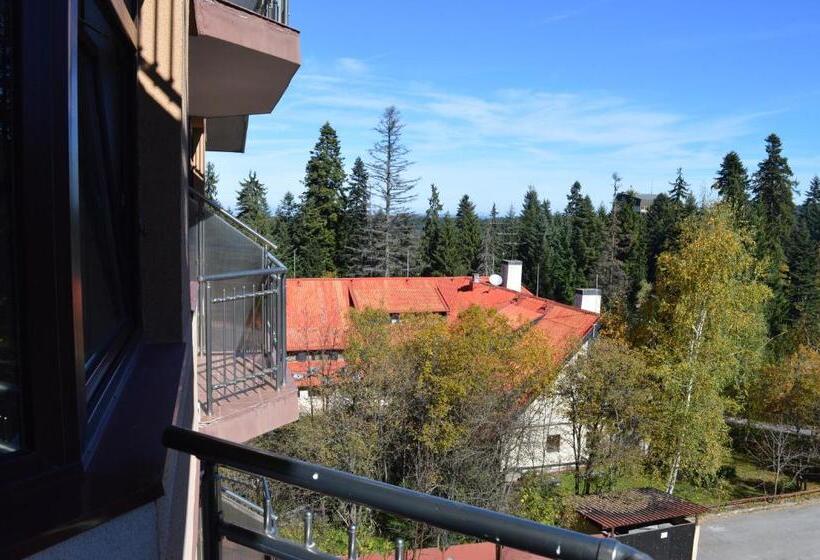 דירת חדר, Apartments Flora Daisy