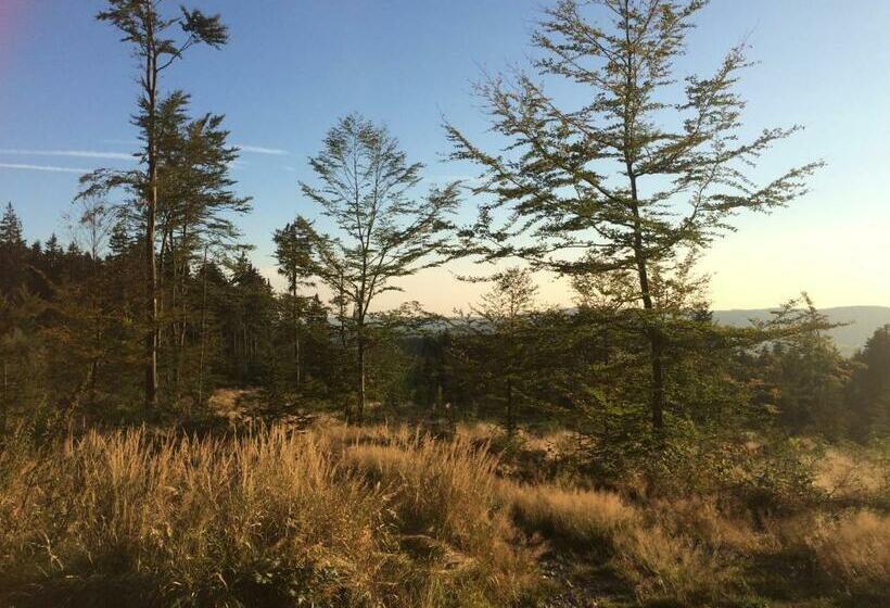 חדר סטנדרט, Gasthof Waldschenke