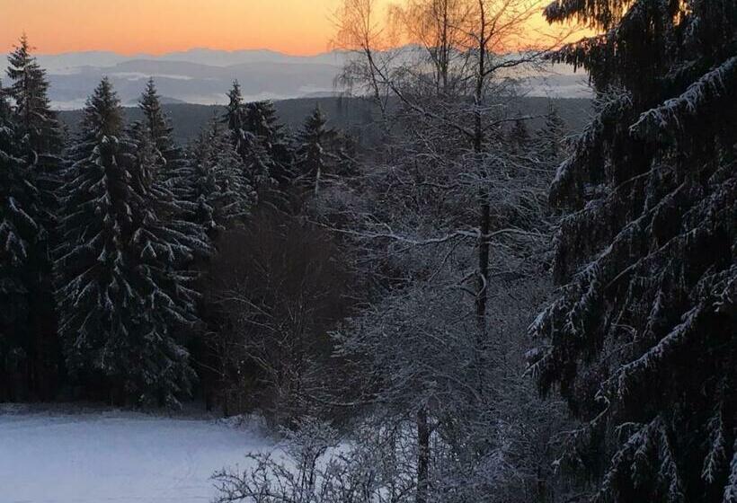 חדר סטנדרט, Gasthof Waldschenke