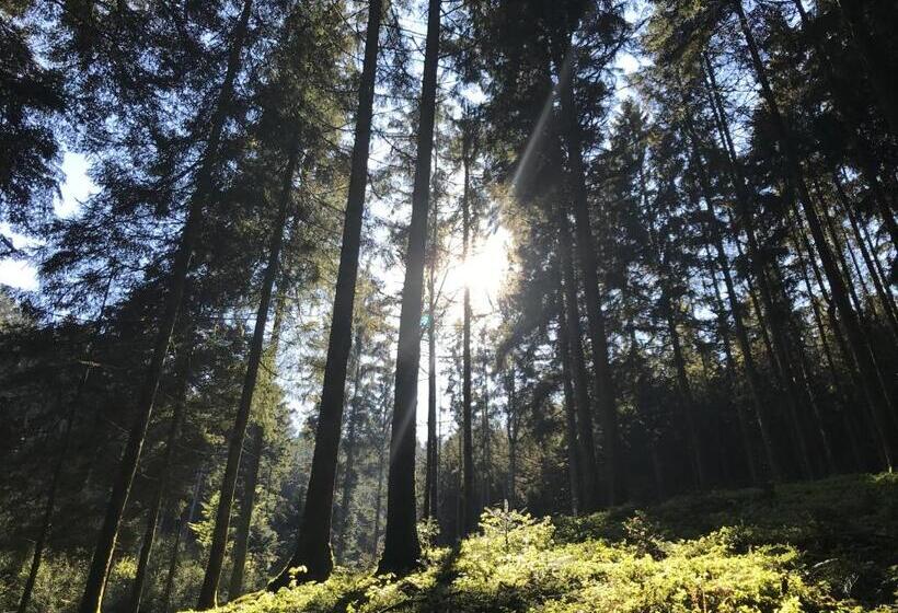 חדר סטנדרט יחיד, Gasthof Waldschenke