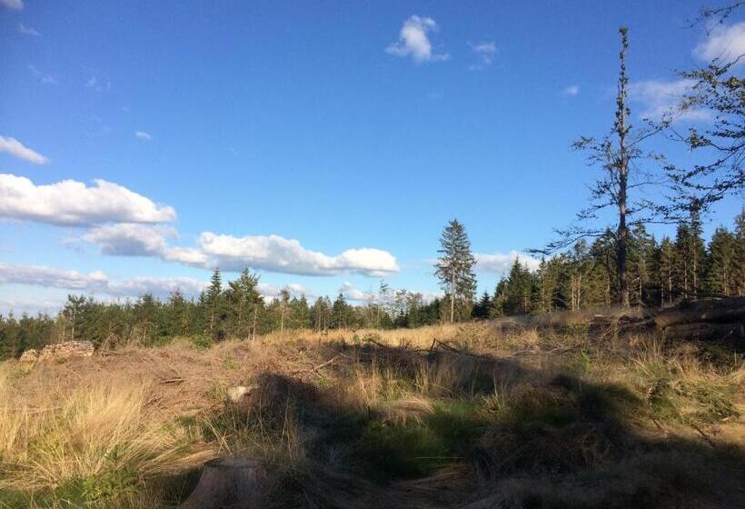 חדר סטנדרט יחיד, Gasthof Waldschenke