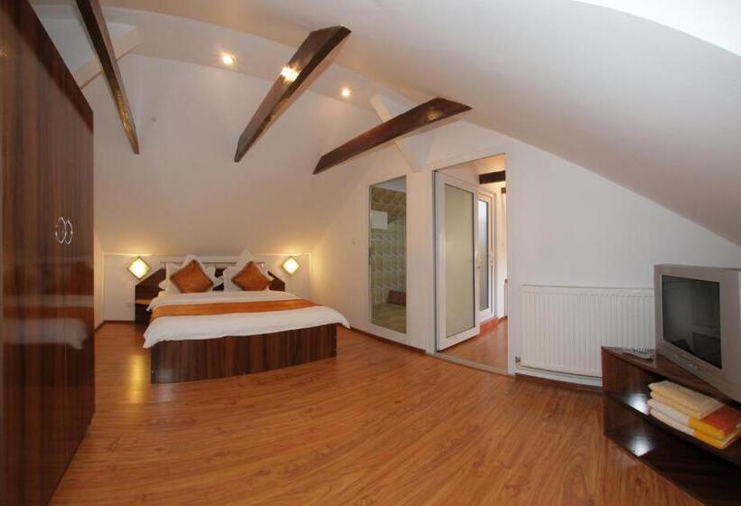 2ベッドスイートルーム, Pension Cuibul Viselor