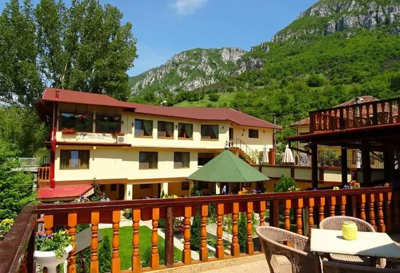 デラックスルーム, Pension Cuibul Viselor