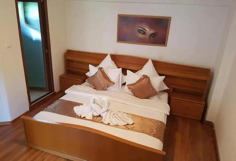 デラックスルーム, Pension Cuibul Viselor