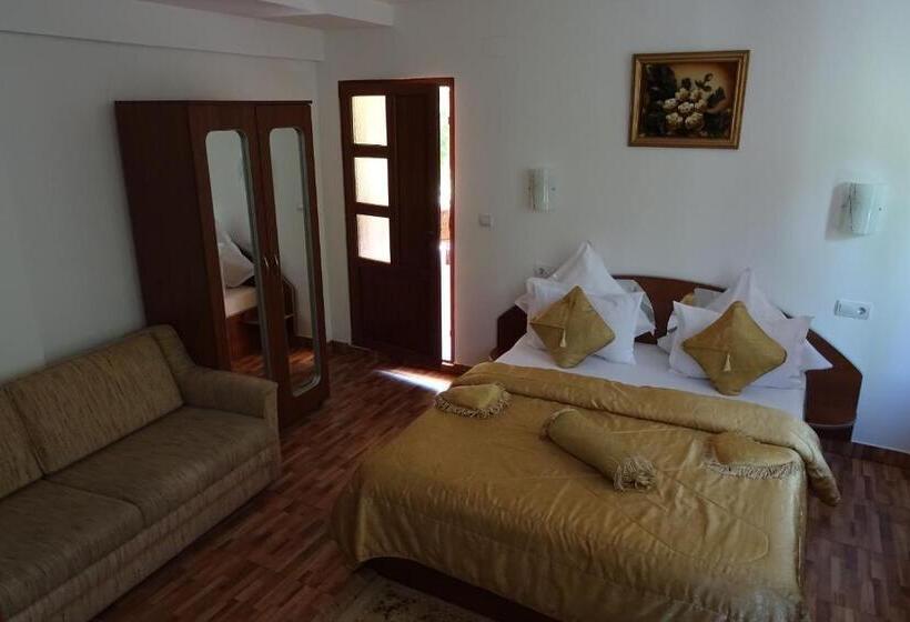 デラックスルーム, Pension Cuibul Viselor