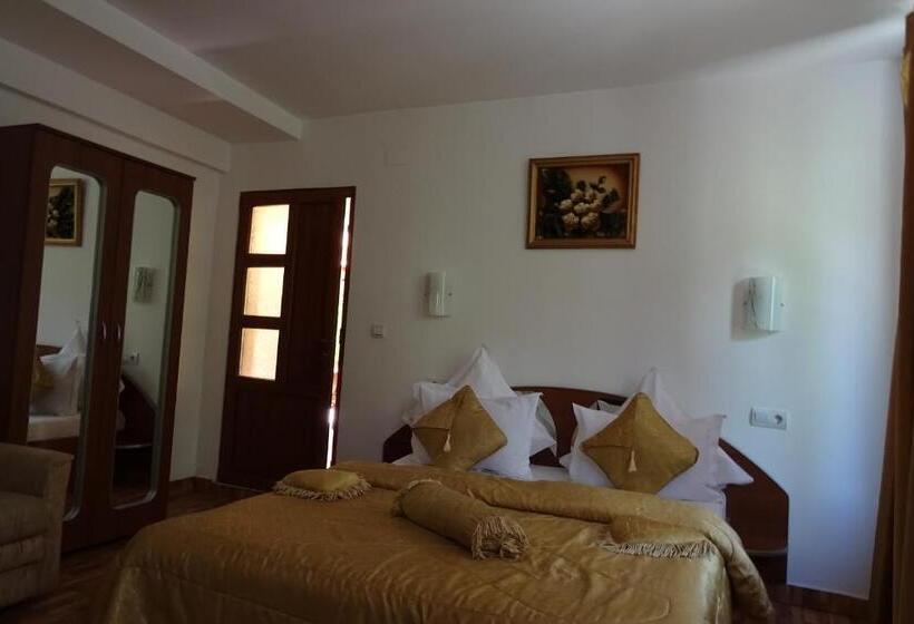 デラックスルーム, Pension Cuibul Viselor