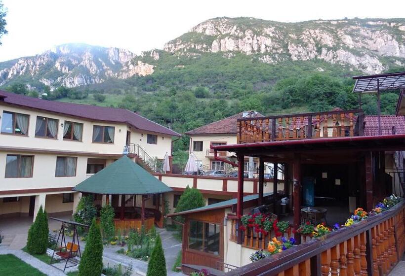 キングサイドベッドのスタンダードワンルーム, Pension Cuibul Viselor