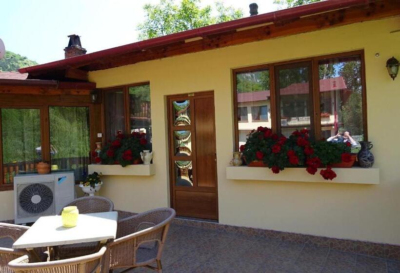 キングサイドベッドのスタンダードワンルーム, Pension Cuibul Viselor