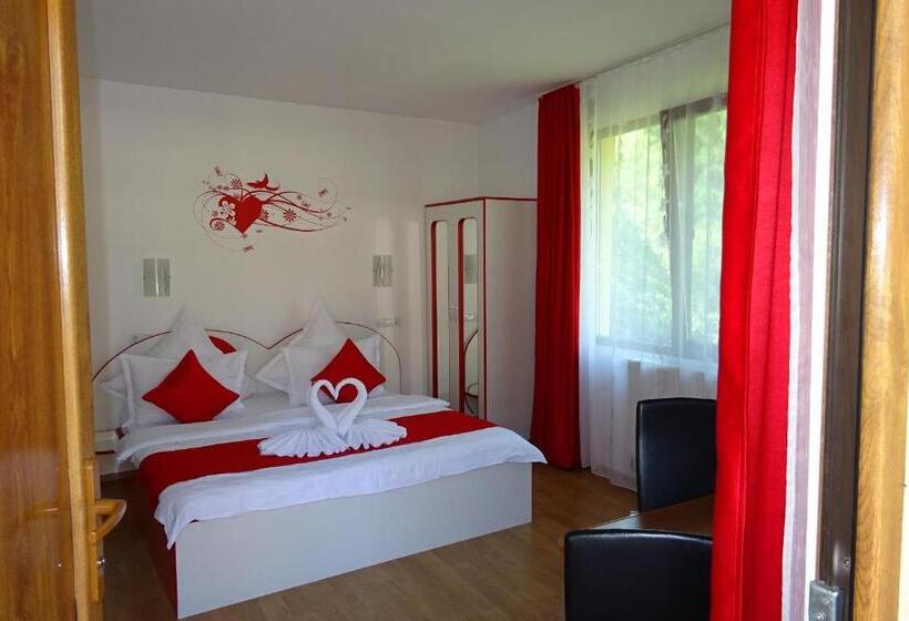 キングサイドベッドのスタンダードワンルーム, Pension Cuibul Viselor