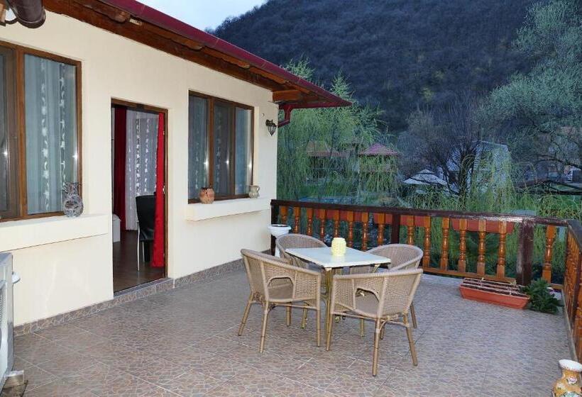 キングサイドベッドのスタンダードワンルーム, Pension Cuibul Viselor