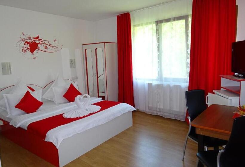 キングサイドベッドのスタンダードワンルーム, Pension Cuibul Viselor