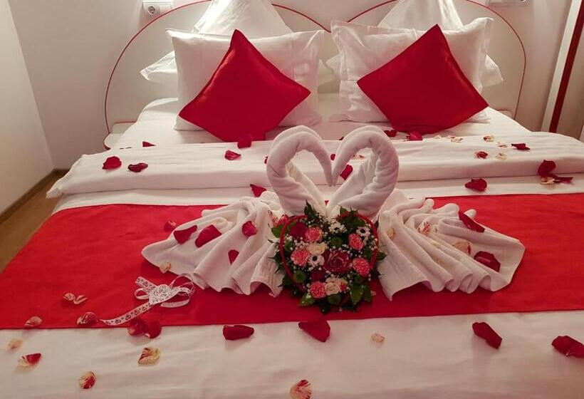 キングサイドベッドのスタンダードワンルーム, Pension Cuibul Viselor