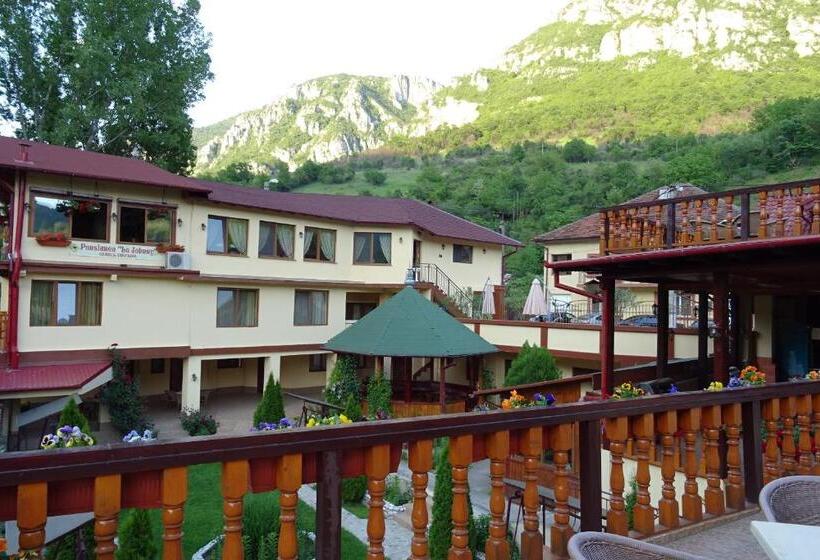 ファミリールーム, Pension Cuibul Viselor