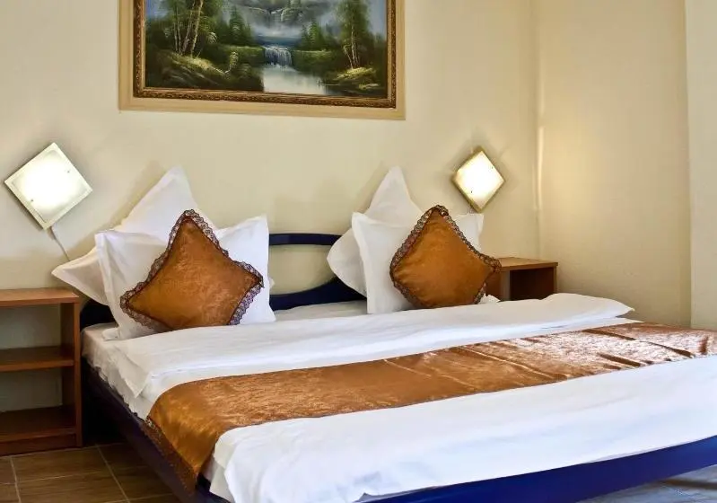 ファミリールーム, Pension Cuibul Viselor