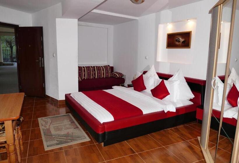 ファミリールーム, Pension Cuibul Viselor