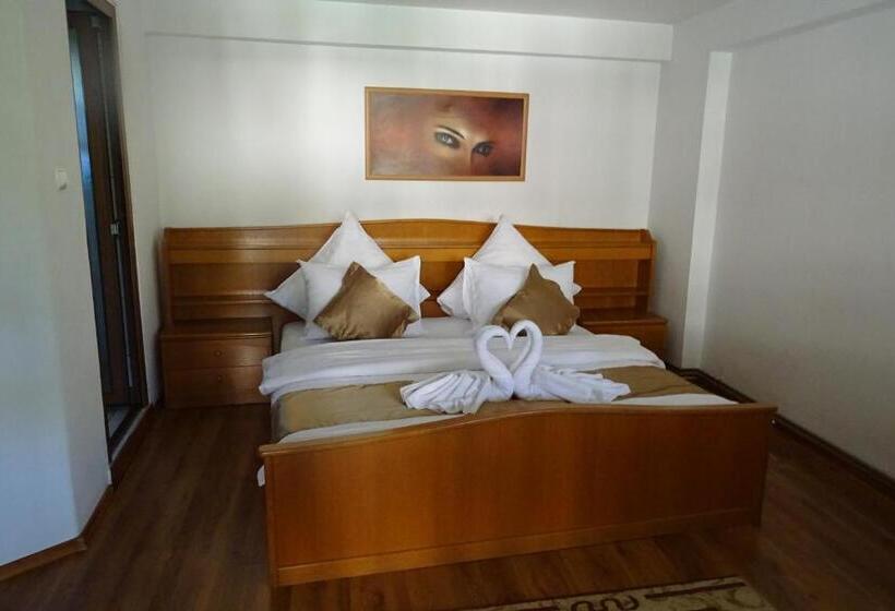 ファミリールーム, Pension Cuibul Viselor