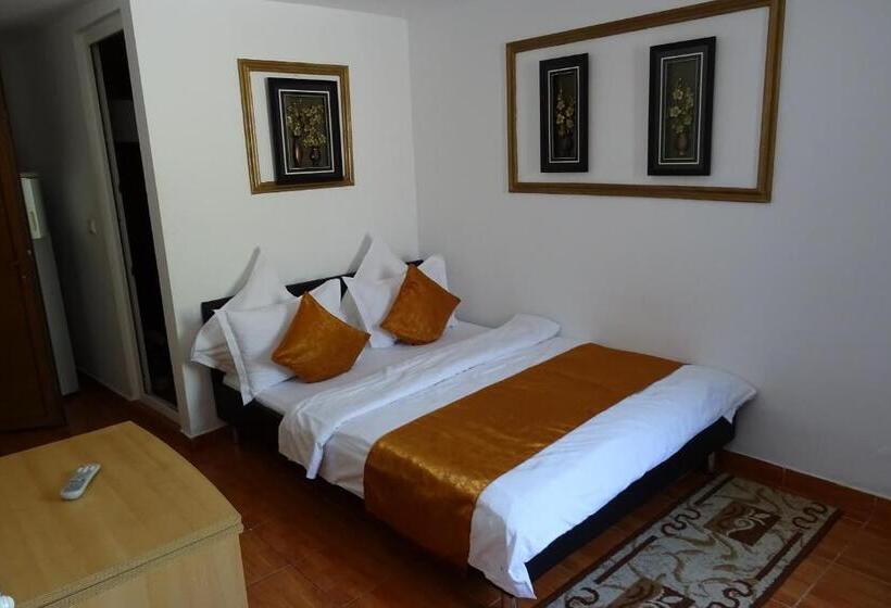 3ベッドルームアパートメント, Pension Cuibul Viselor