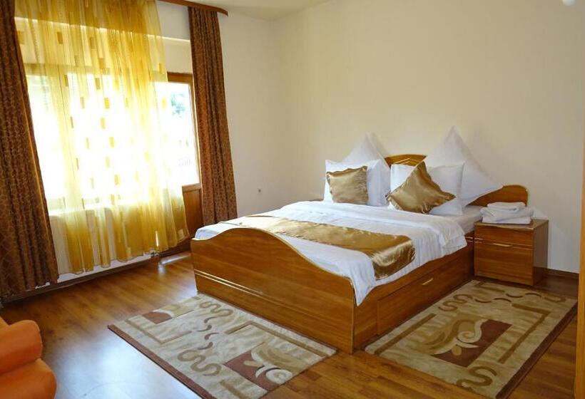 آپارتمان 3 خوابه, Pension Cuibul Viselor