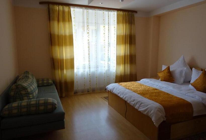 3ベッドルームアパートメント, Pension Cuibul Viselor