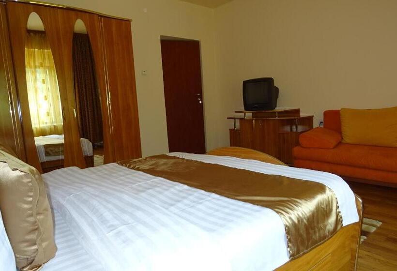 3ベッドルームアパートメント, Pension Cuibul Viselor