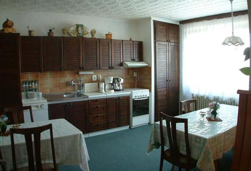 Standard Szoba Terasszal, Pension Villa Hany