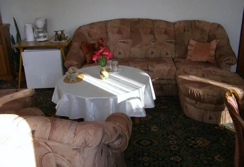 اتاق استاندارد با تراس, Pension Villa Hany