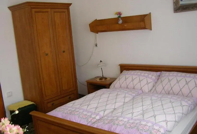 اتاق استاندارد با تراس, Pension Villa Hany