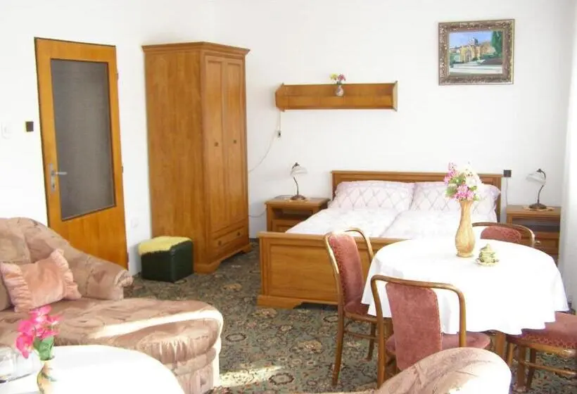 اتاق استاندارد با تراس, Pension Villa Hany