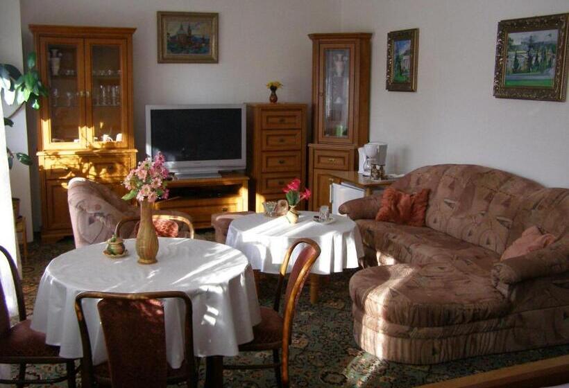 Standard Szoba Terasszal, Pension Villa Hany