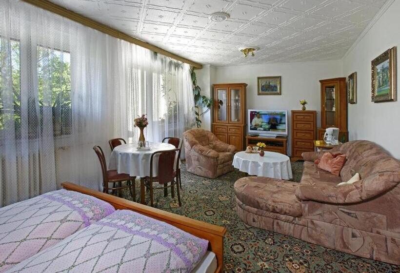 Quarto Estandar com Terraço, Pension Villa Hany
