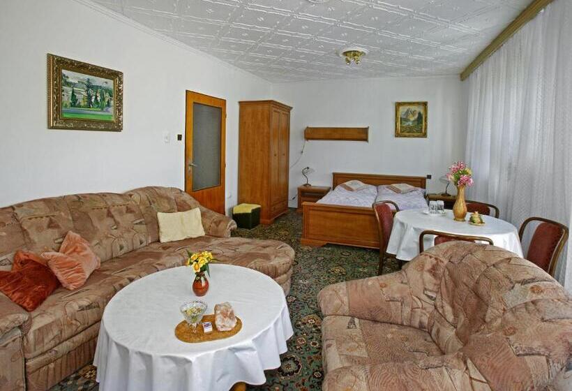 Standard Szoba Terasszal, Pension Villa Hany