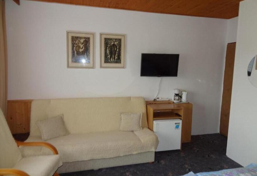 Standard Szoba, Pension Villa Hany