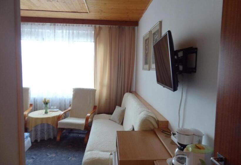 Standard Szoba, Pension Villa Hany