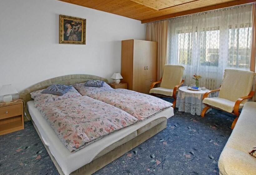 Standard Szoba, Pension Villa Hany