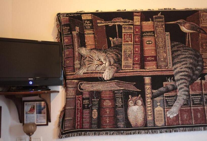 스탠다드 룸, Agriturismo Il Cucco