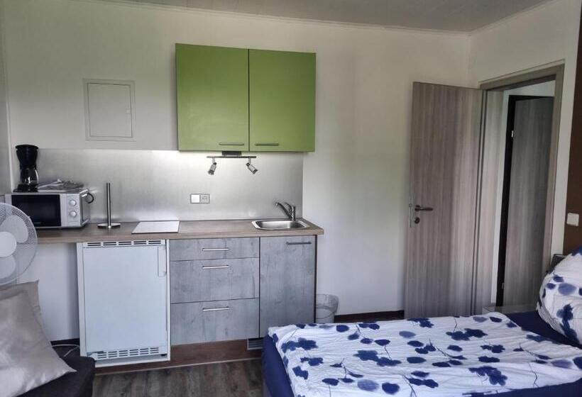 סטודיו סטנדרט עם מרפסת, Pension Waldesruh