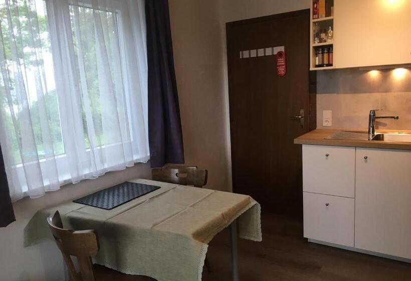 דירת חדר, Pension Waldesruh