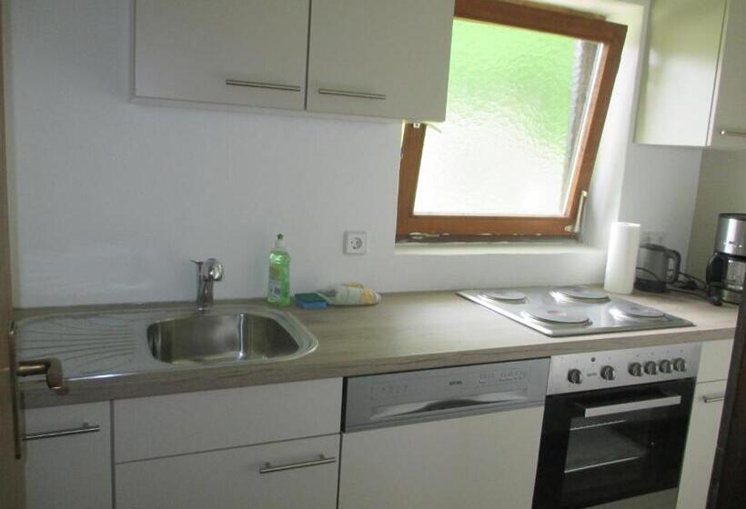 דירת 2 חדרים עם טרסה, Pension Waldesruh