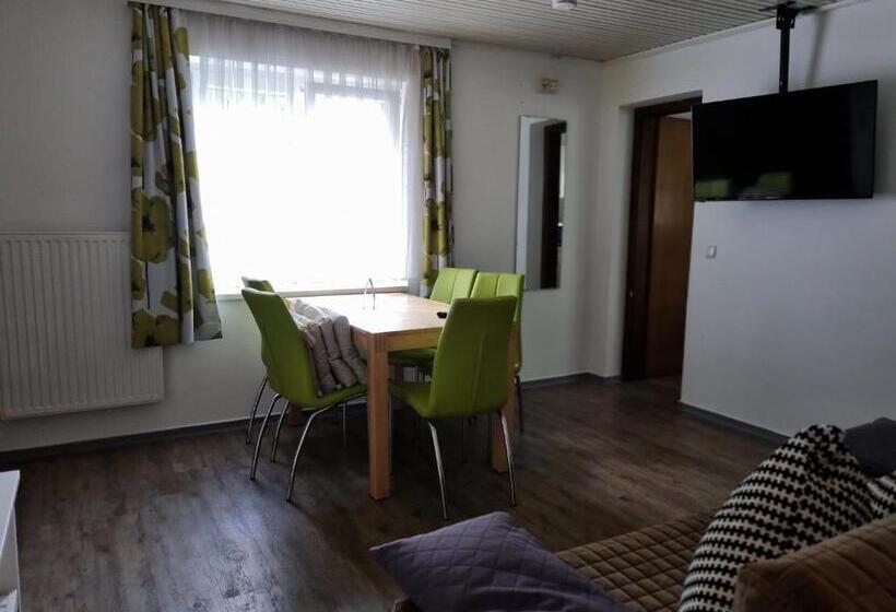 דירת 2 חדרים עם טרסה, Pension Waldesruh