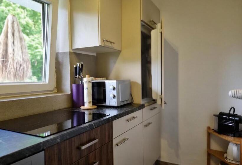 דירת 2 חדרים עם טרסה, Pension Waldesruh