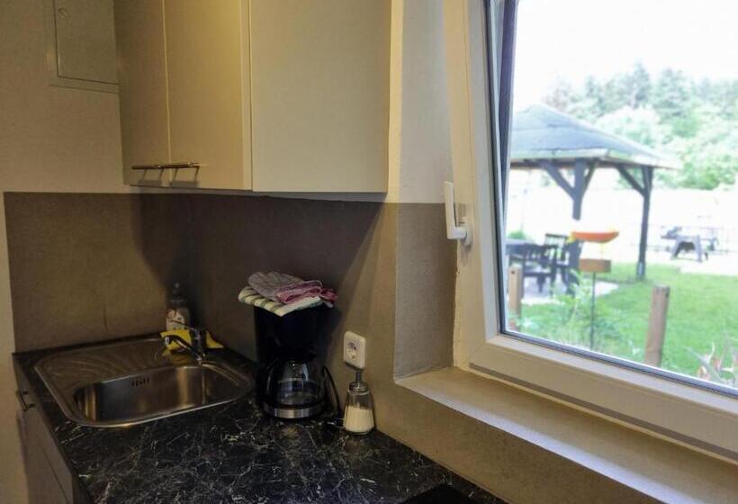 דירת 2 חדרים עם טרסה, Pension Waldesruh