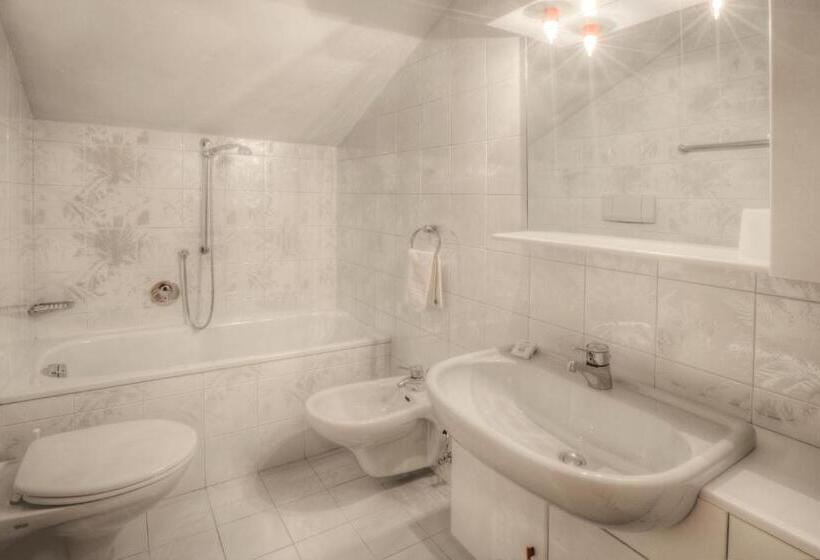 Апартаменты 1 Спальня Нижний Этаж, Residence Dolomieu