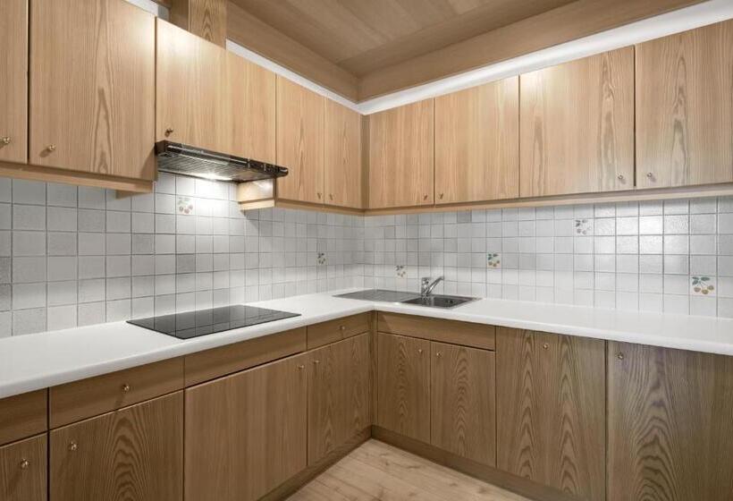 １階の１ベッドルームアパートメント, Residence Dolomieu