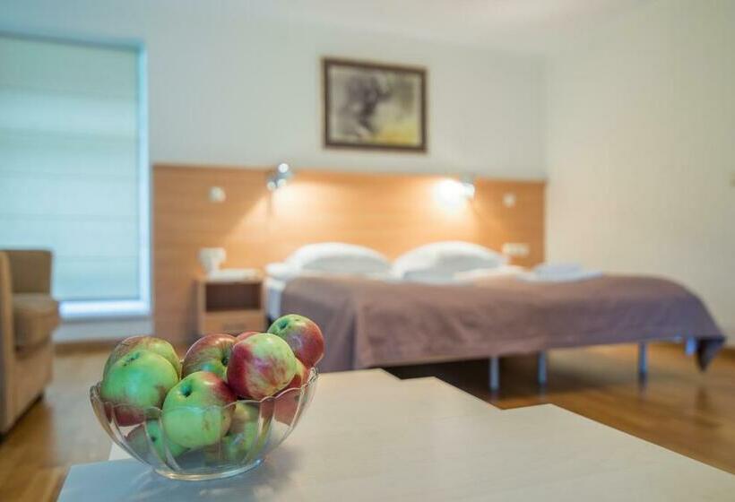 اتاق سوپریور, Guest House Milda