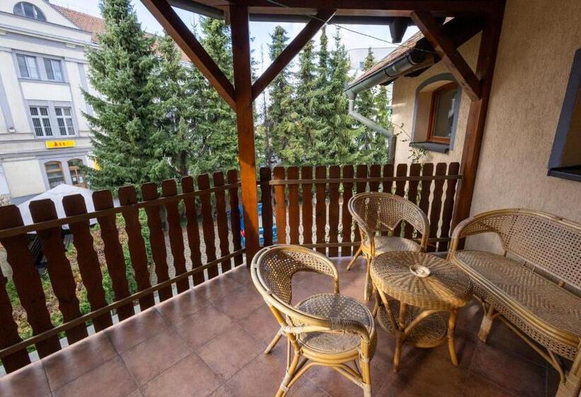 Апартаменты 2 Спальни, Pension Centrum