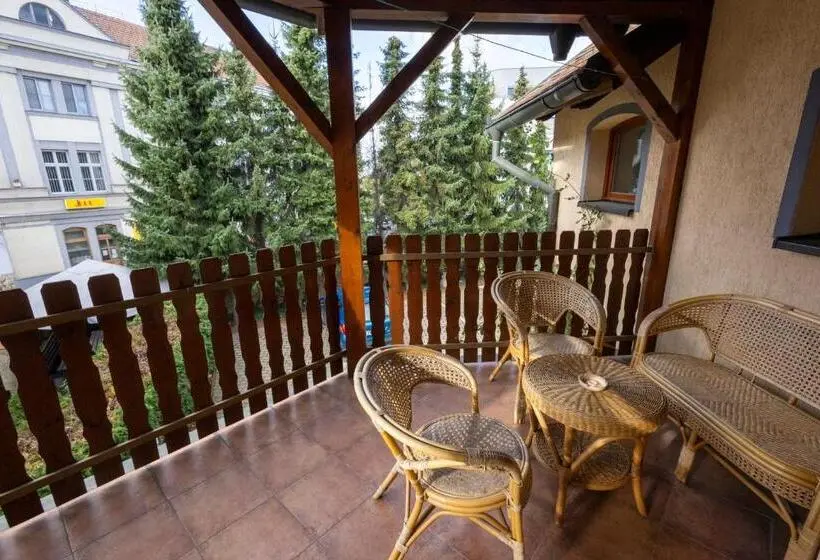 Apartament 2 Dormitoris, Pension Centrum