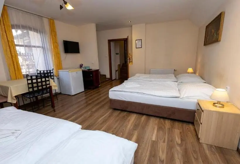 Apartament 2 Dormitoris, Pension Centrum