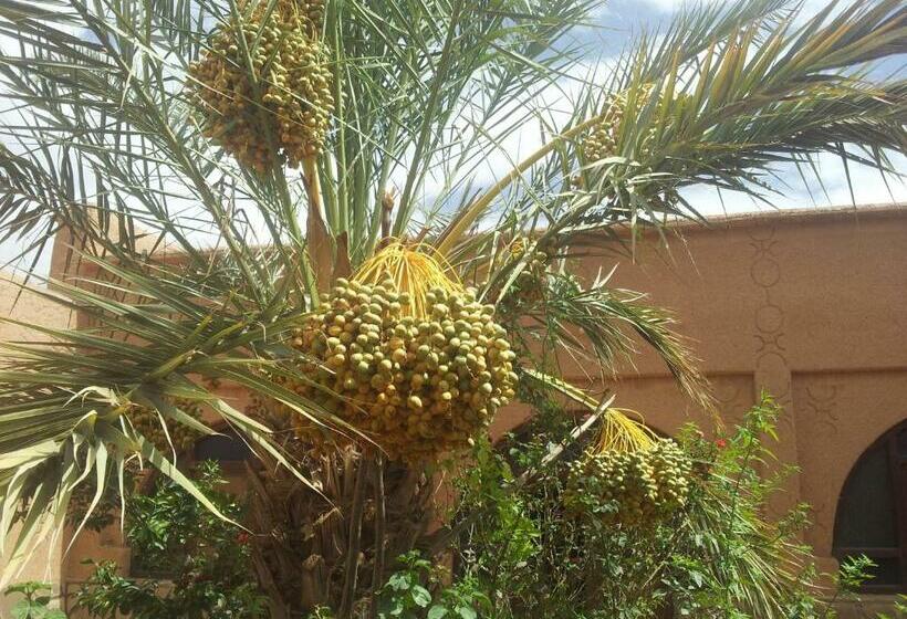 اتاق استاندارد, Maison D  Hôtes Ait Hmid