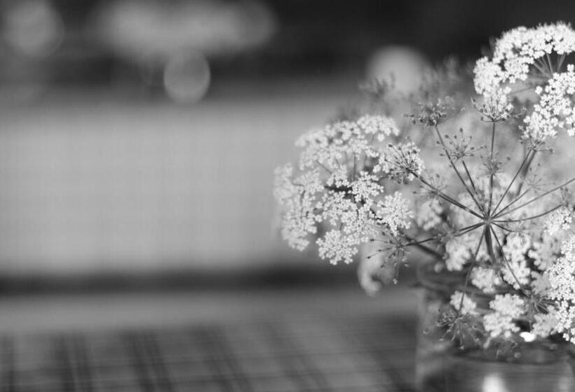 חדר סטנדרטי לארבעה עם חדר אמבטיה משותף, Lemettilä Countryside Accommodation