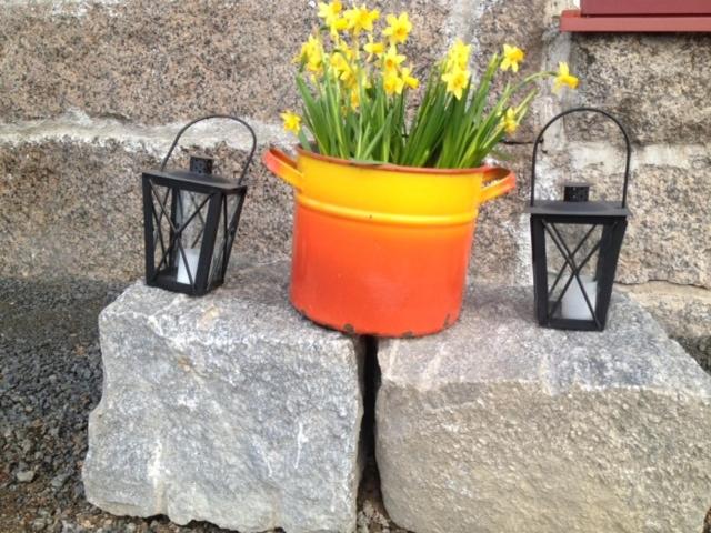 חדר סטנדרט, Lemettilä Countryside Accommodation